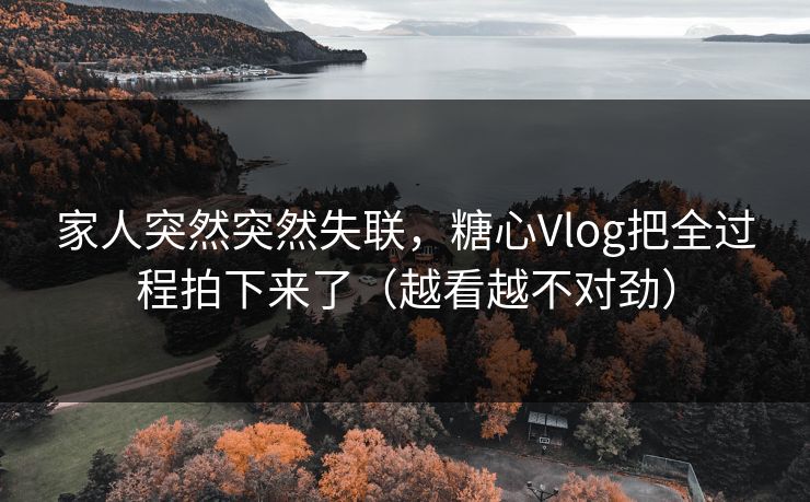 家人突然突然失联，糖心Vlog把全过程拍下来了（越看越不对劲）  第1张