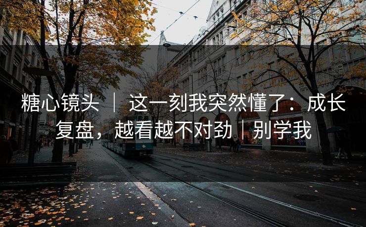 糖心镜头 ｜ 这一刻我突然懂了：成长复盘，越看越不对劲｜别学我  第1张