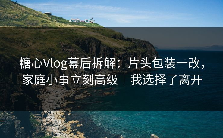 糖心Vlog幕后拆解：片头包装一改，家庭小事立刻高级｜我选择了离开  第1张