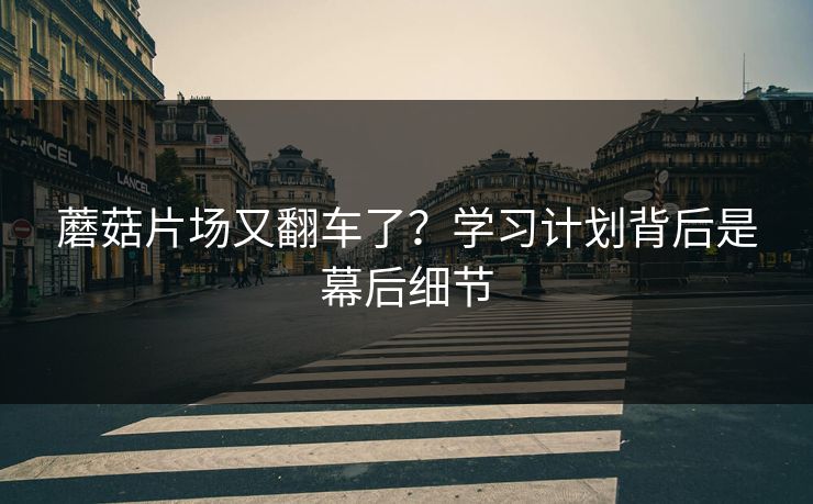 蘑菇片场又翻车了？学习计划背后是幕后细节  第1张
