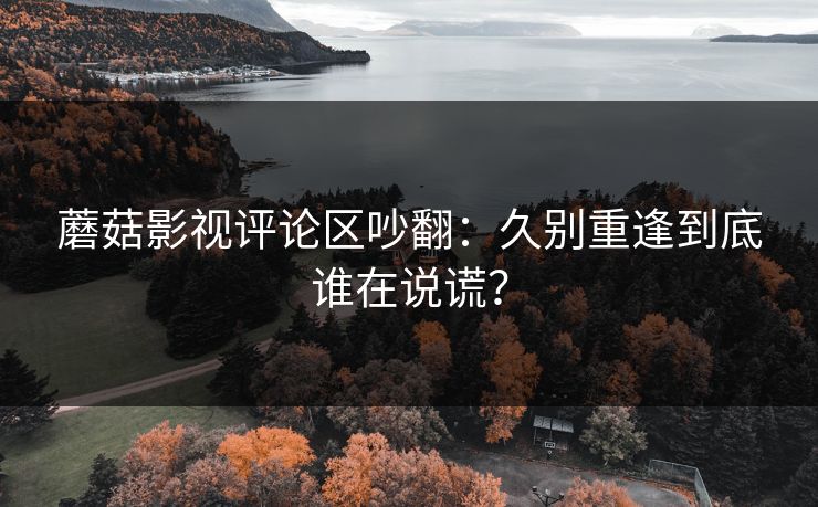 蘑菇影视评论区吵翻：久别重逢到底谁在说谎？  第1张