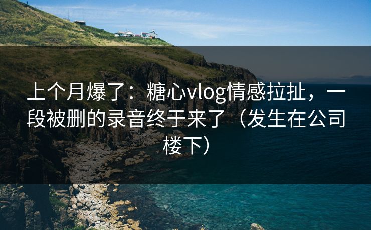 上个月爆了：糖心vlog情感拉扯，一段被删的录音终于来了（发生在公司楼下）  第1张