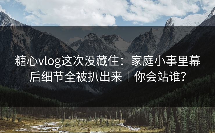 糖心vlog这次没藏住：家庭小事里幕后细节全被扒出来｜你会站谁？