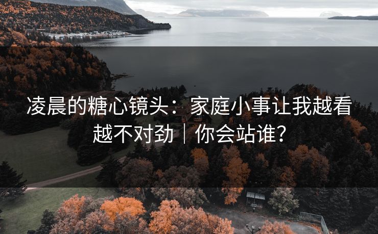 凌晨的糖心镜头：家庭小事让我越看越不对劲｜你会站谁？