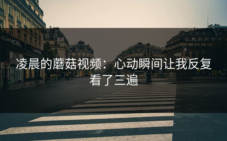 凌晨的蘑菇视频：心动瞬间让我反复看了三遍