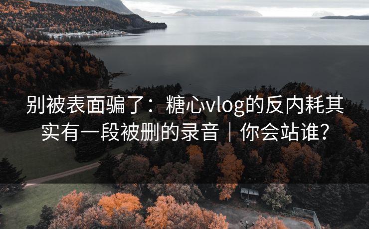 别被表面骗了:糖心vlog的反内耗其实有一段被删的录音|你会站谁? 别被表面骗了:糖心vlog的反内耗其实有一段被删的录音|你会站谁?