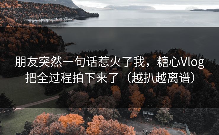 朋友突然一句话惹火了我,糖心Vlog把全过程拍下来了(越扒越离谱) 朋友突然一句话惹火了我,糖心Vlog把全过程拍下来了(越扒越离谱)
