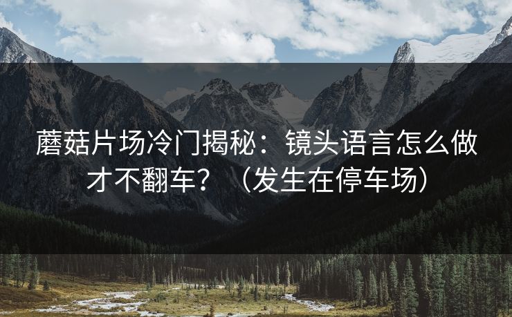 蘑菇片场冷门揭秘：镜头语言怎么做才不翻车？（发生在停车场）