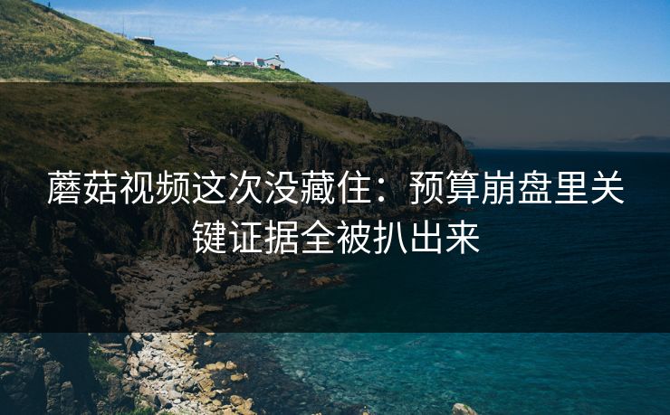 蘑菇视频这次没藏住：预算崩盘里关键证据全被扒出来